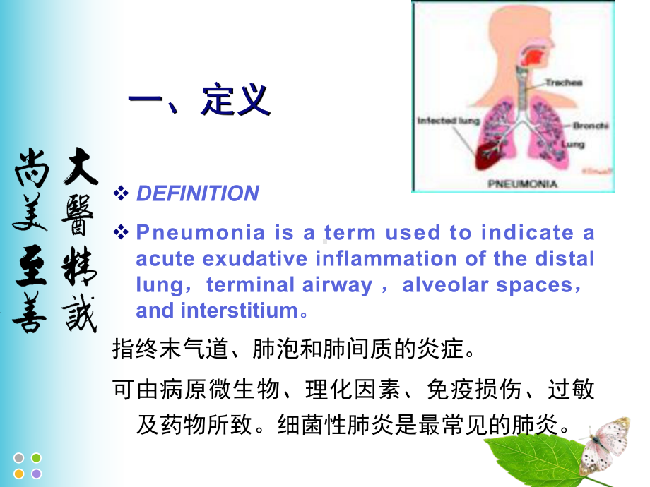 一院内科-肺炎.ppt_第2页