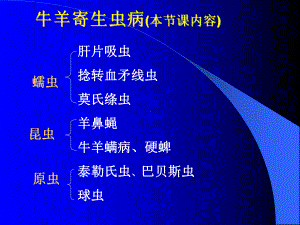 牛羊病寄生虫病-ppt课件名师教学资料.ppt