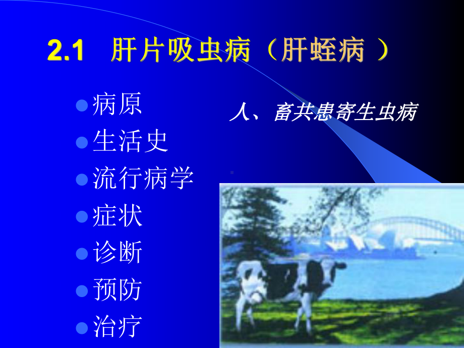 牛羊病寄生虫病-ppt课件名师教学资料.ppt_第2页