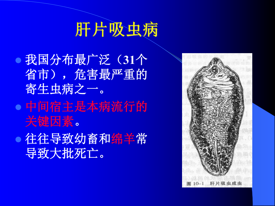 牛羊病寄生虫病-ppt课件名师教学资料.ppt_第3页