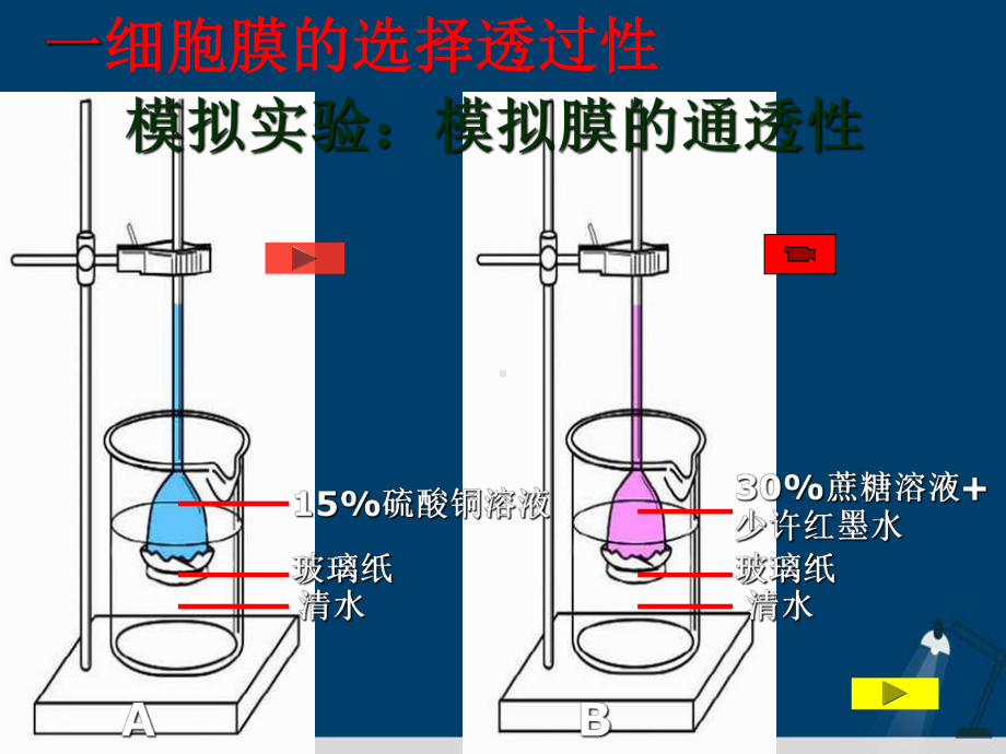 细胞内外的物质交换演示文稿课件.ppt_第3页