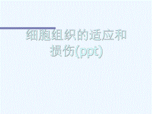 细胞组织的适应和损伤(ppt)课件.ppt