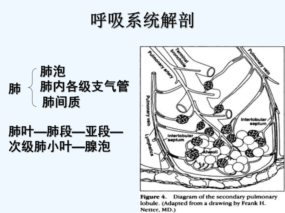 肺间质纤维化的影像表现[可修改版ppt]课件.ppt_第2页