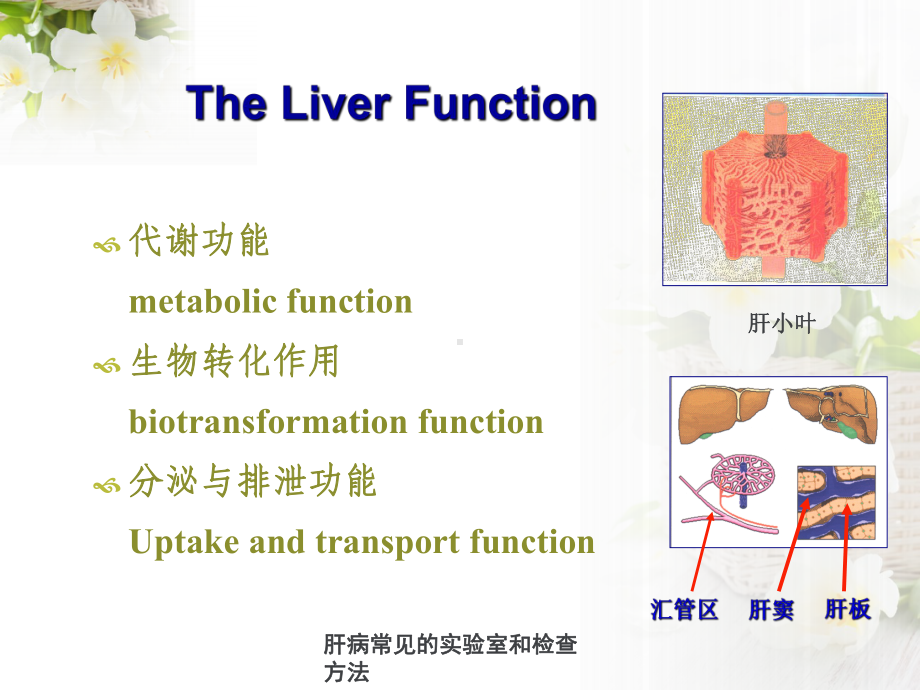 肝病常见实验室与检查方法课件.ppt_第2页