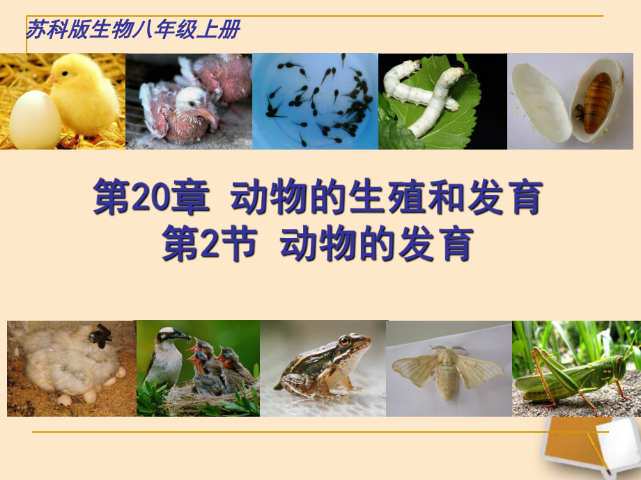 苏科版初中生物八上第七单元20.2《动物的发育》课件(共25页).ppt_第1页