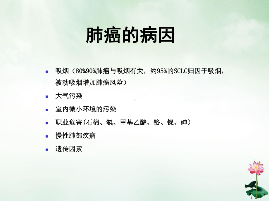 肺癌治疗进展ppt课件.ppt_第3页