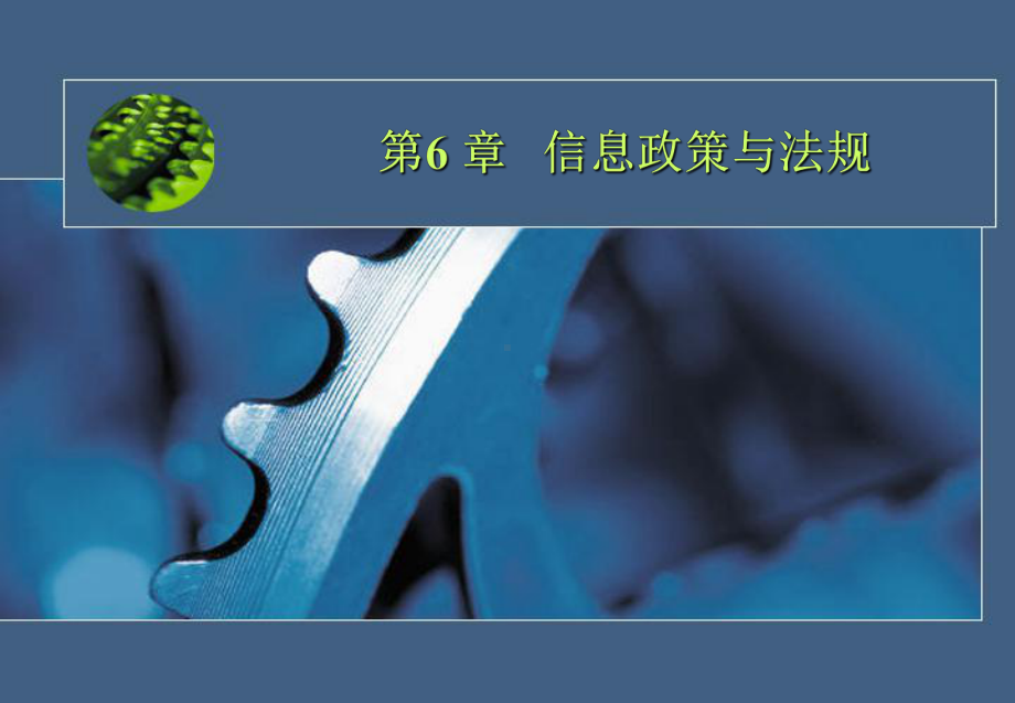 第6章-信息政策与法规课件.ppt_第1页