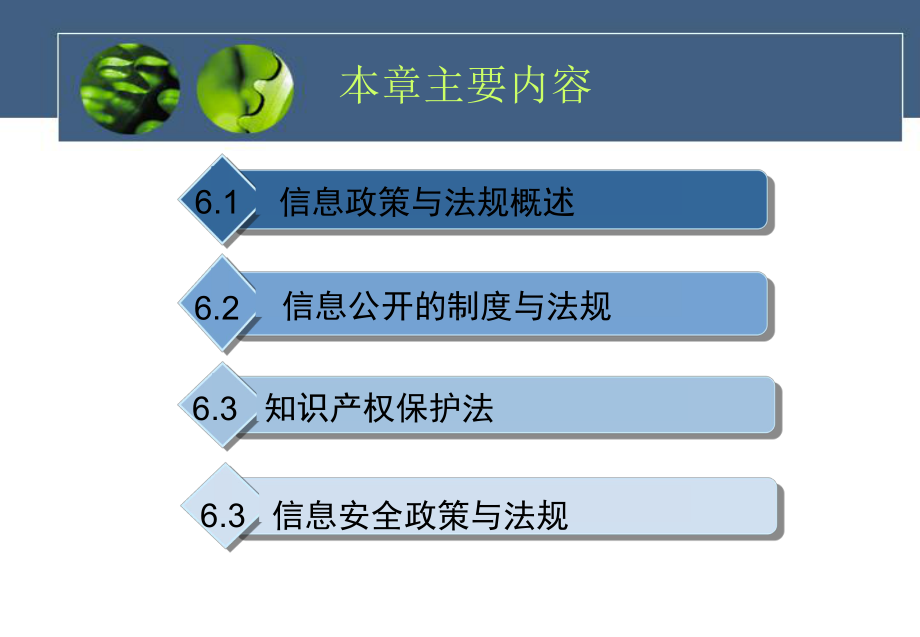 第6章-信息政策与法规课件.ppt_第2页