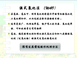 湿式氧化法处理活性污泥的原理及应用进展课件.pptx