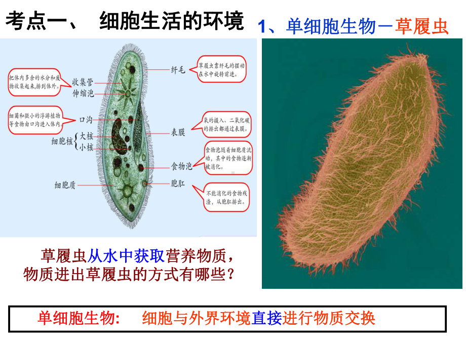 生物复习人体的内环境与稳态及实例PPT课件.ppt_第2页