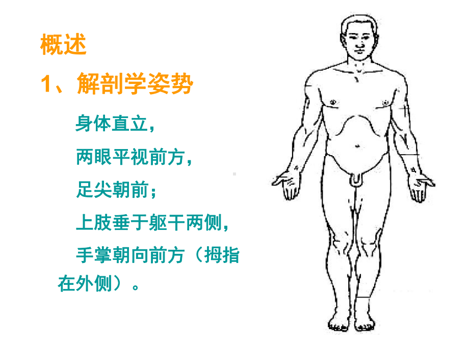 生物医学复习资料课件.pptx_第1页