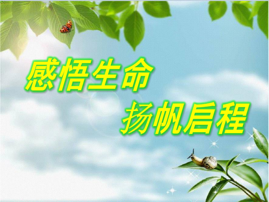 生命真美好(小学生主题班会)课件.ppt_第2页