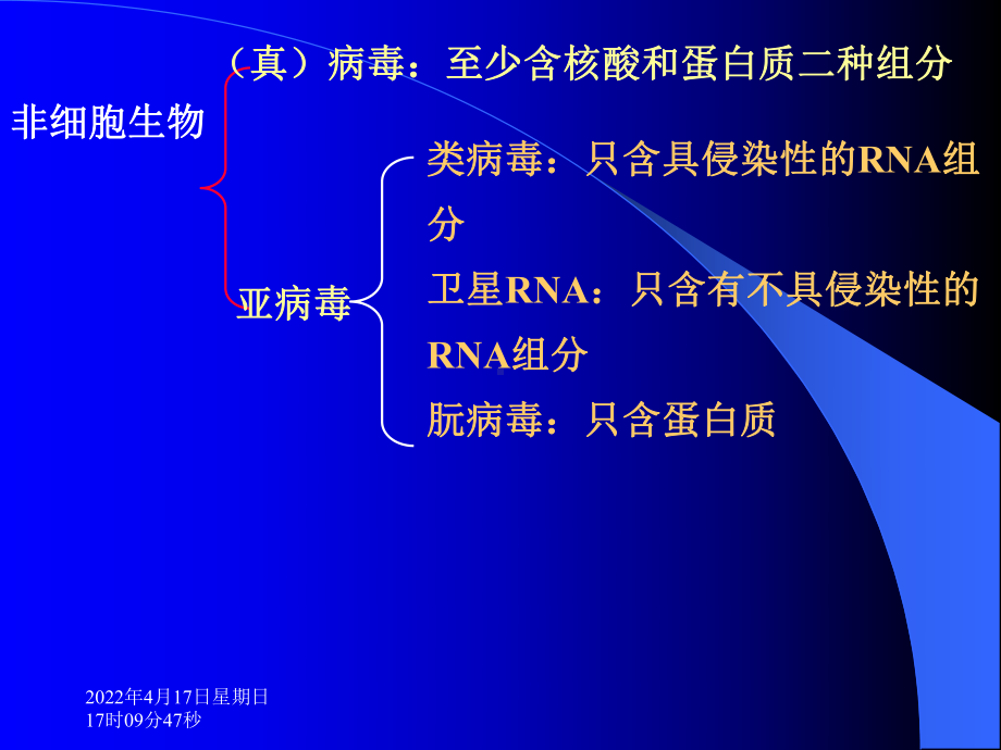 病毒和类病毒本科课件.pptx_第3页