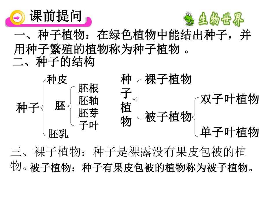 种子的萌发-优秀-完整版PPT课件.ppt_第3页