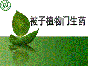 生药学：被子植物豆科课件.pptx