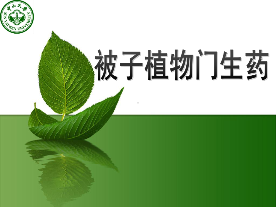 生药学：被子植物豆科课件.pptx_第1页