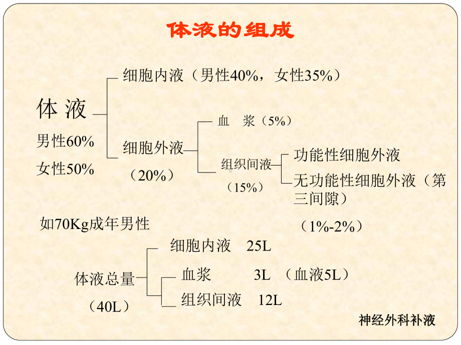 神经外科补液课件.pptx_第2页