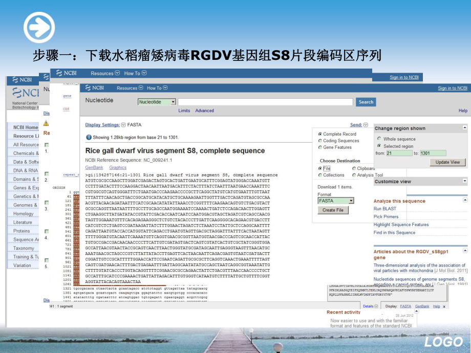 第四核酸序列分析ppt文档课件.ppt_第3页