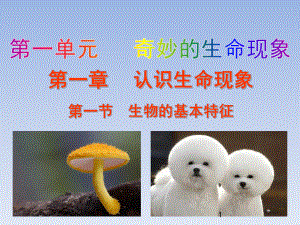 济南版七年级生物上册全套ppt课件.ppt