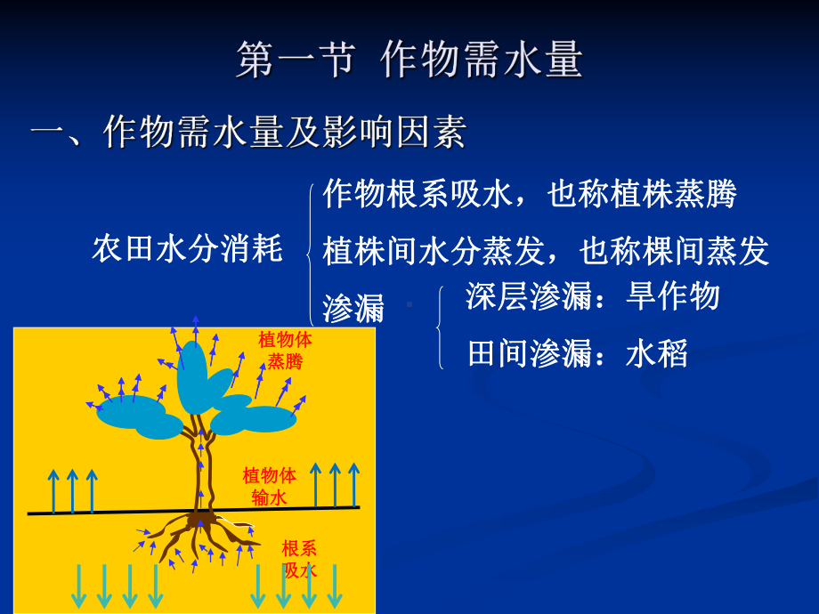 第二章-作物需水量和灌溉用水量课件.ppt_第2页