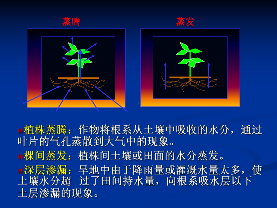 第二章-作物需水量和灌溉用水量课件.ppt_第3页