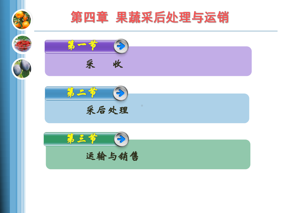 第四章-果蔬采后处理与运销解析课件.ppt_第3页