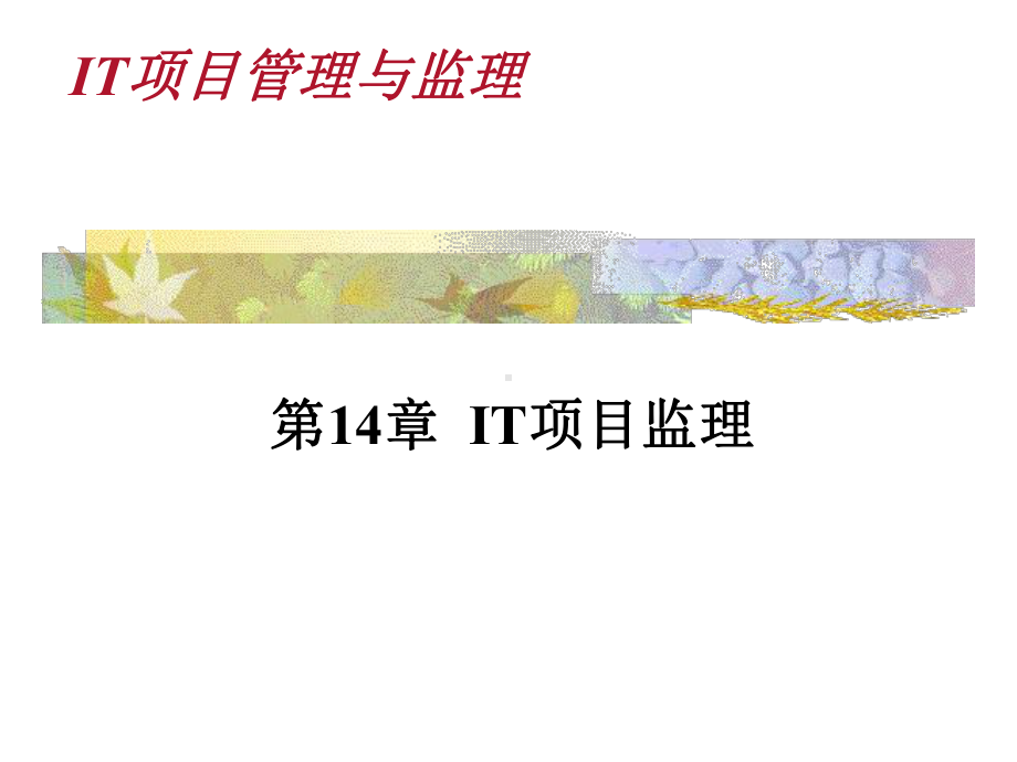 第14章-IT项目监理课件.ppt_第1页