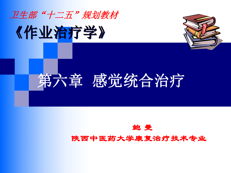 第六章感觉统合治疗培训讲学课件.ppt_第1页