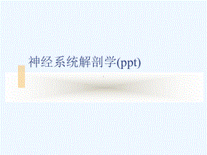 神经系统解剖学(ppt)课件.ppt