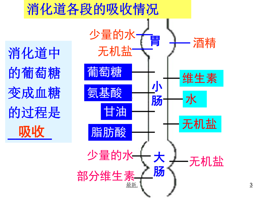 生物课件合理膳食与食品安全(可修改).ppt.ppt_第3页