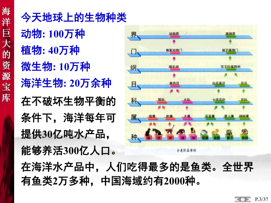 海洋技术的发展课件.pptx_第3页