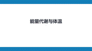 第九版生理学能量代谢与体温课件.pptx