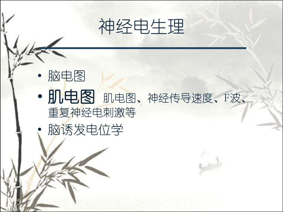 肌电图概述-PPT课件.ppt_第2页