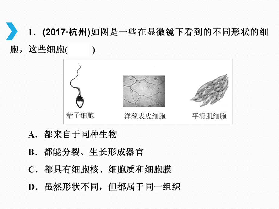 浙教版科学中考一轮复习第一篇-生命科学-第2讲-构成生物体的细胞、组织、器官和系统(共66页)课件.ppt_第2页