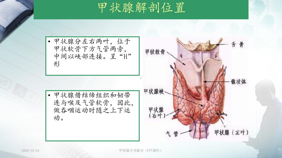 甲状腺手术配合(PPT课件).ppt_第3页