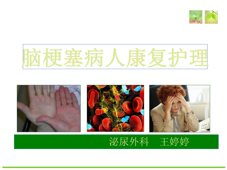 脑梗塞的护理精品PPT课件.ppt_第1页