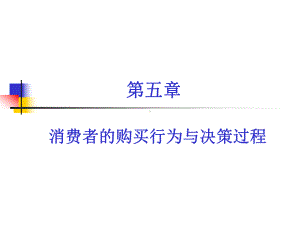 消费者的购买行为与决策过程课件.pptx