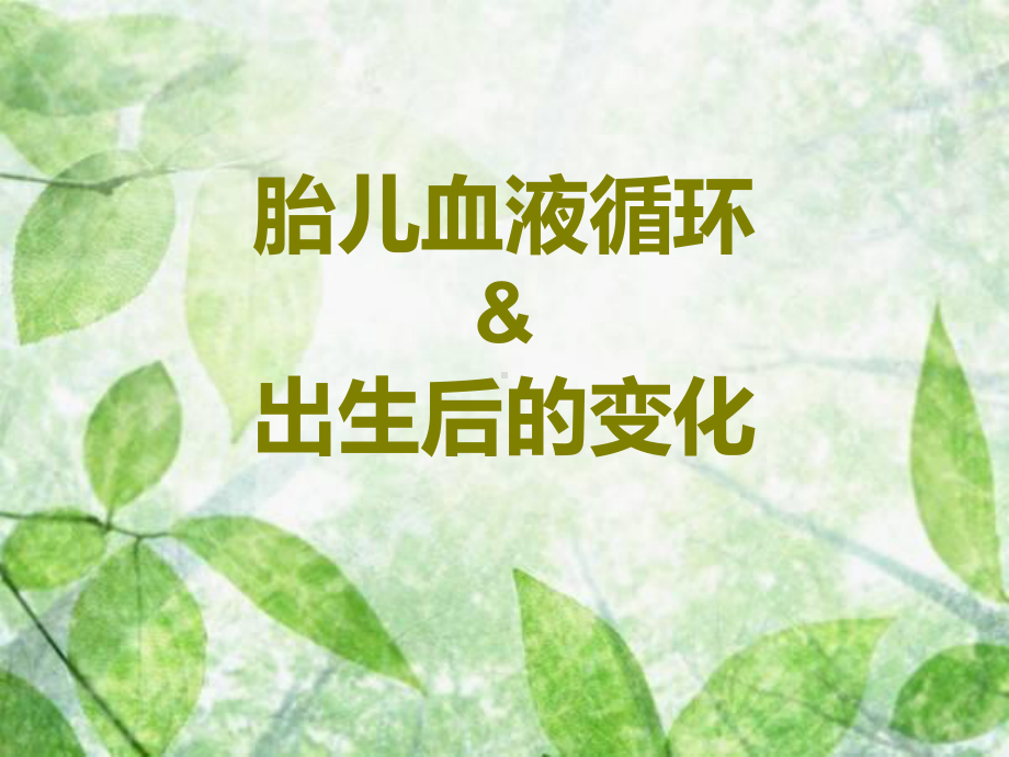 胎儿血液循环(整理).ppt课件.ppt_第1页