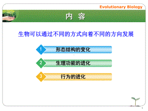 生物表型进化课件.pptx