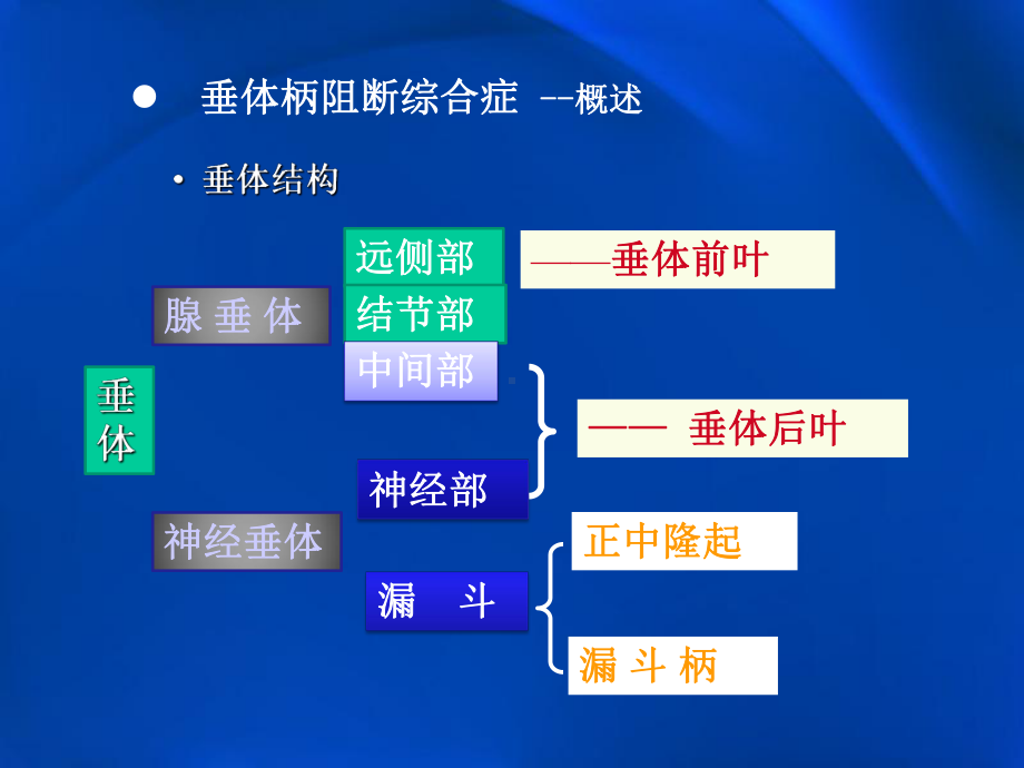 垂体柄阻断综合症PPT优质课件.pptx_第2页