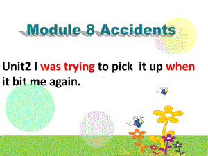 外研版八年级上册Module-8-Unit-2I-was-trying-to-pick-it-up-when-it-bit-me-again课件.ppt