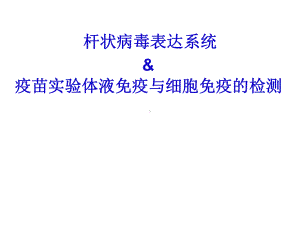 杆状病毒表达系统昆虫细胞的培养及杆状病毒滴度测定课件.pptx