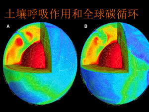 土壤呼吸作用和全球碳循环课件.pptx