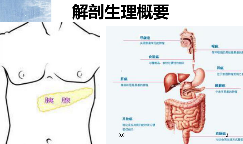 急性胰腺炎病人的护理(整理).ppt课件.ppt_第3页