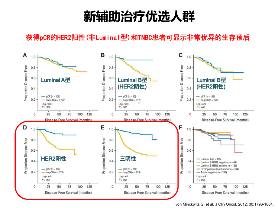 新辅助化疗和课件.pptx_第3页