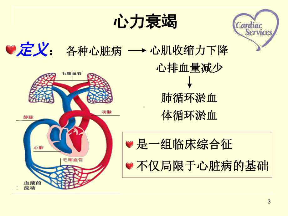 心力衰竭病人的护理查房ppt课件.pptx_第3页