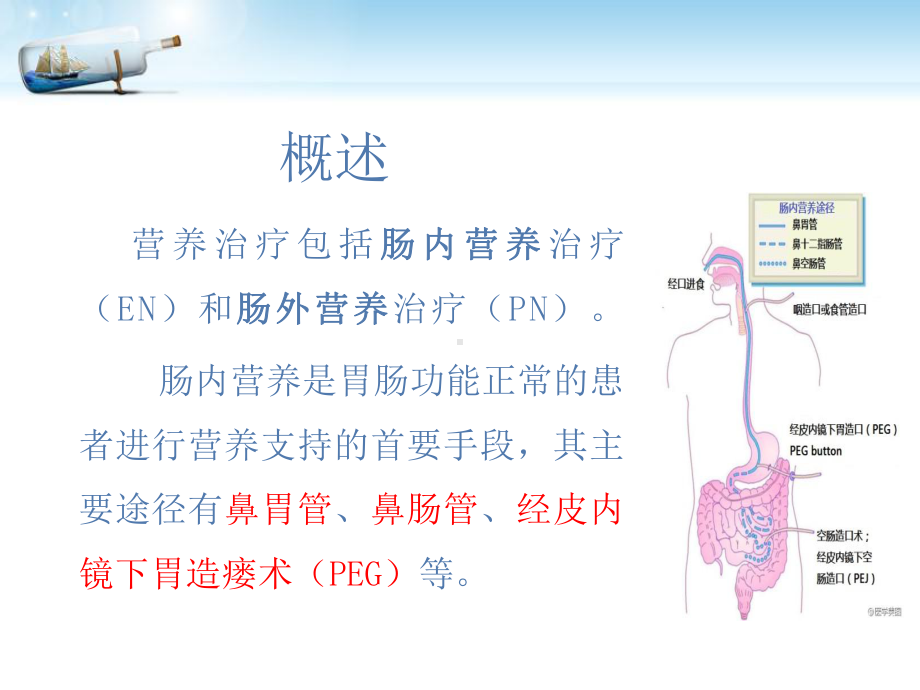 成人鼻饲护理1模板课件.pptx_第3页