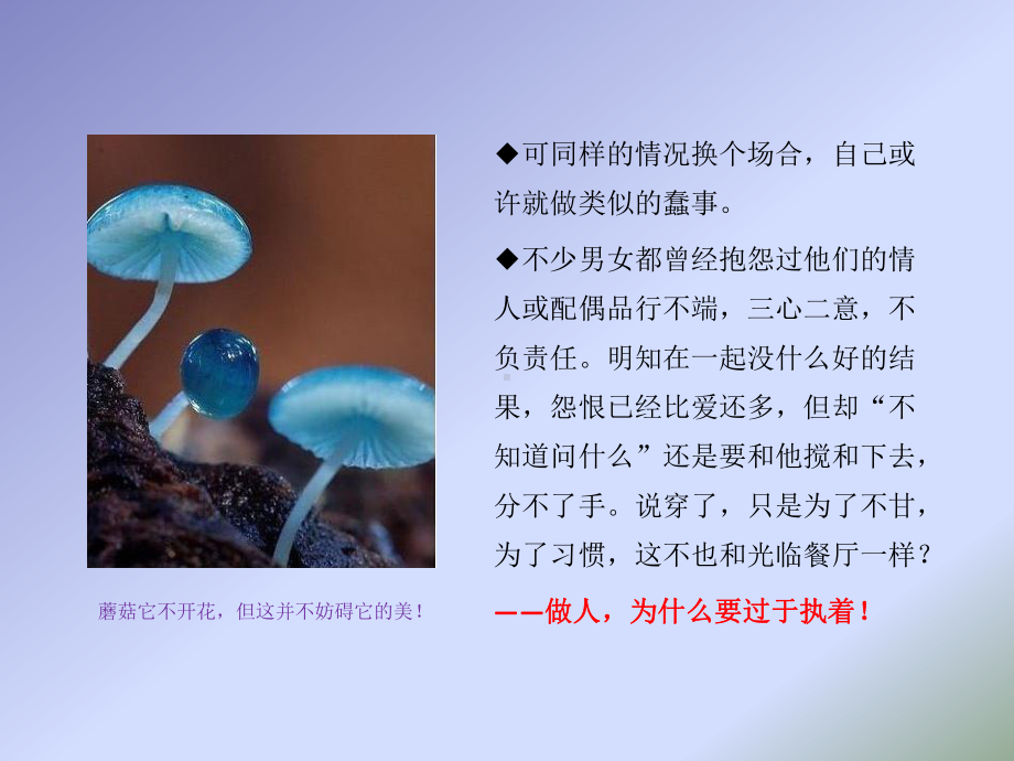 心灵鸡汤：人生的8大经典问题课件.pptx_第3页