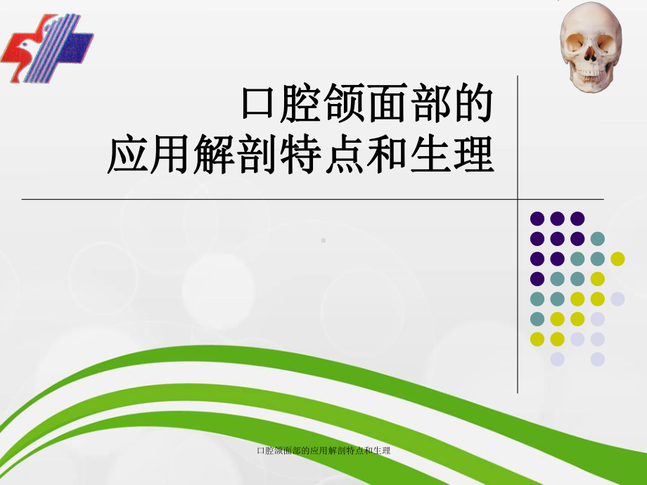 口腔颌面部应用解剖特点及生理课件.ppt_第1页