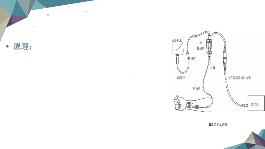 有创血压监测PPT培训课件.ppt_第2页